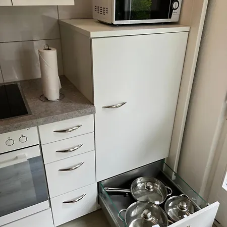 Tom * インターラーケン