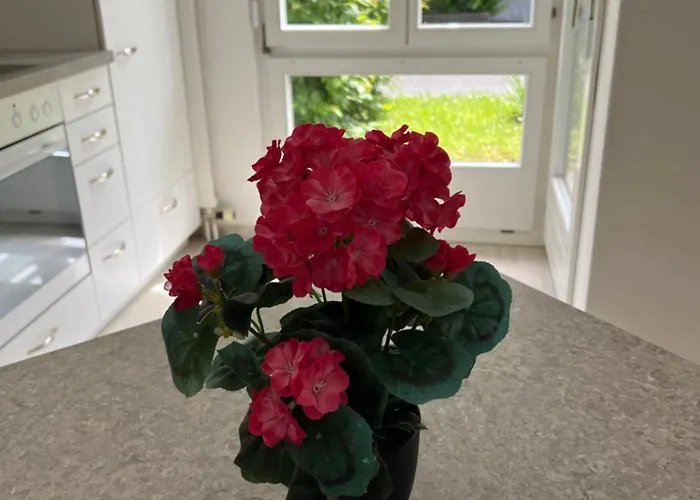 Tom Apartamento Entrelagos